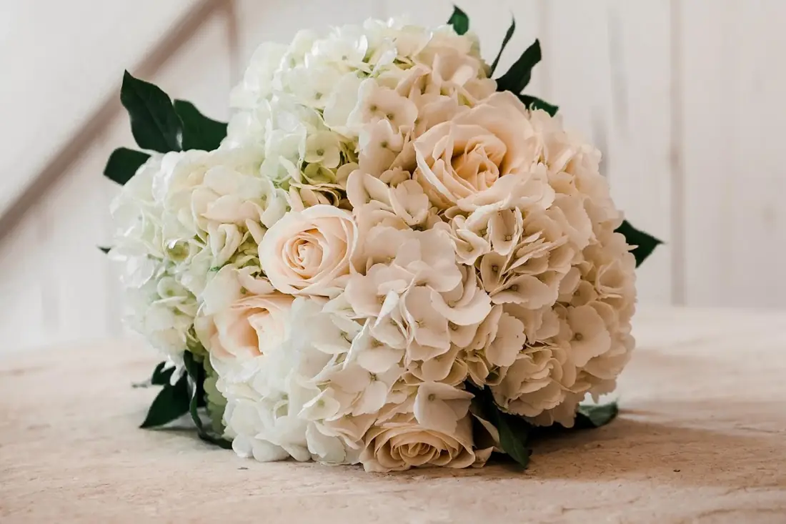 Bouquet of peach roses and white hydrangea